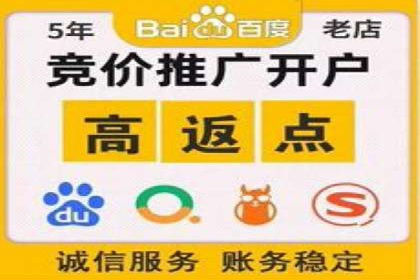 某某sem广告公司成功案例：如何通过SEM优化提高电商销售额